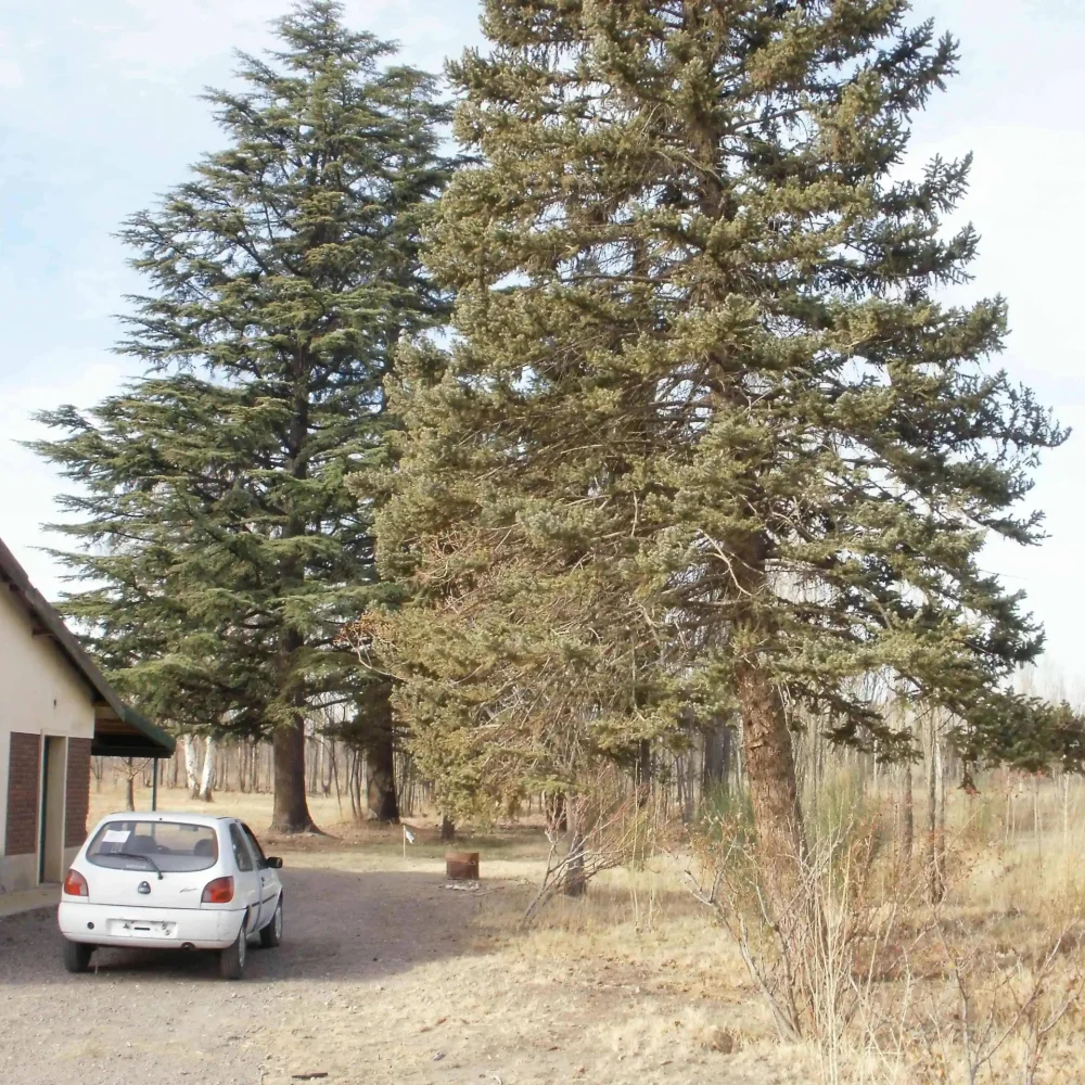 2013 (1)_11_11zon_resultado2