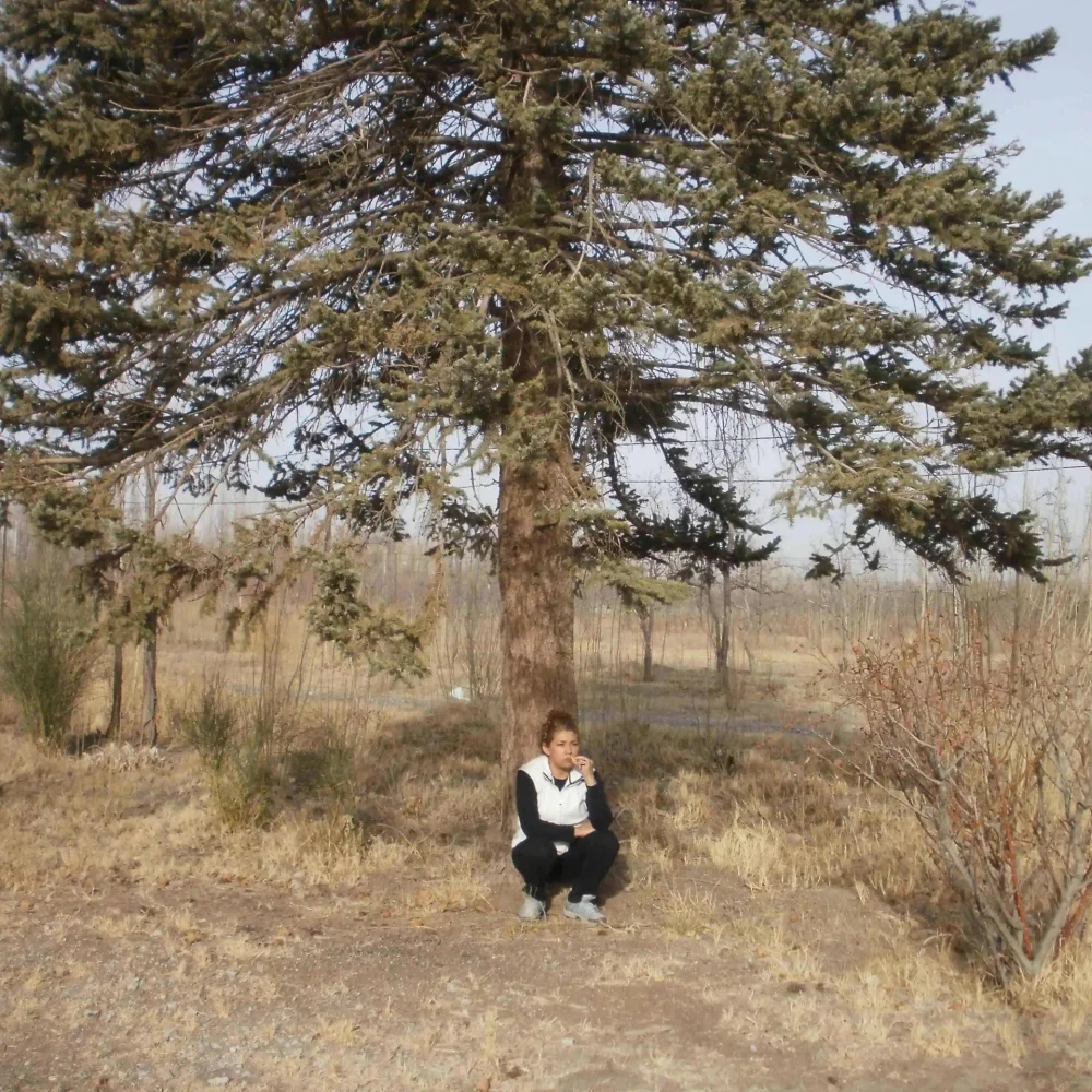 2013 (3)_13_11zon_resultado2